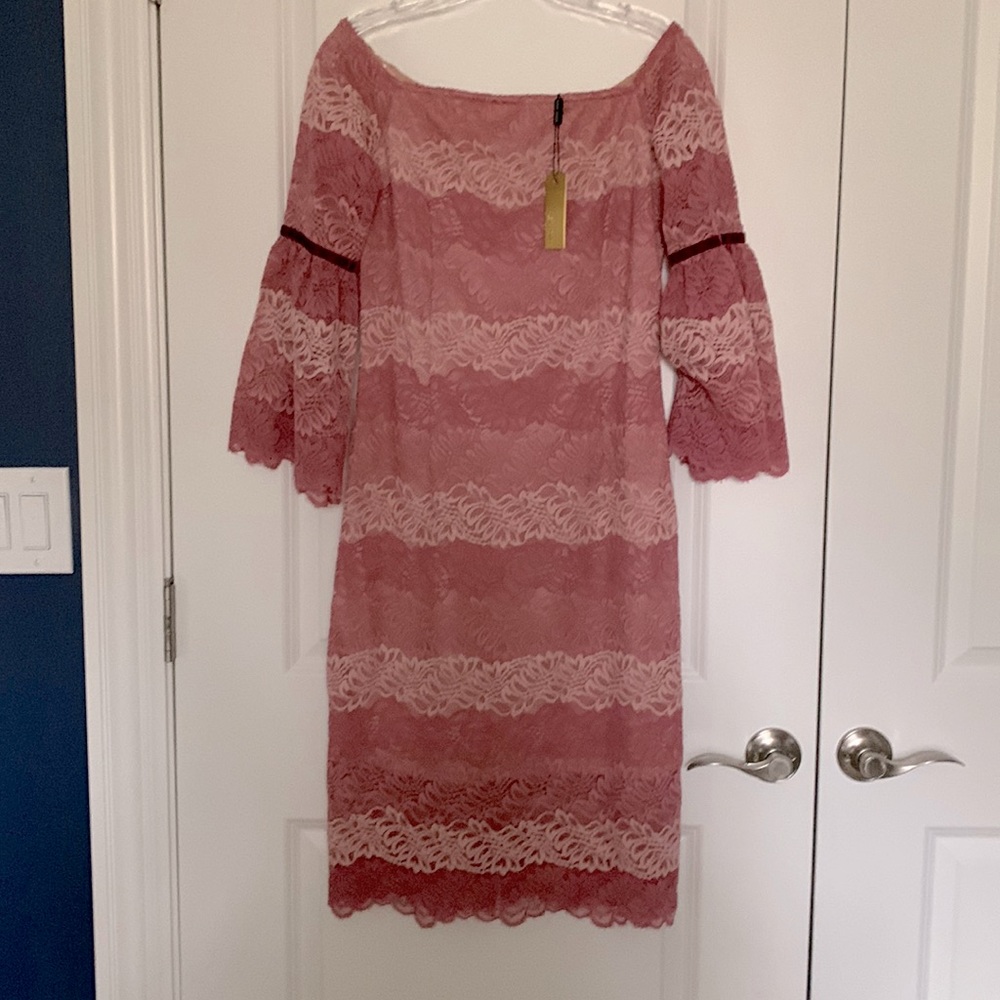 Alexia Admor off shoulder pink lace dress NWT small